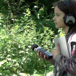 exploration of sounds in Vondelpark